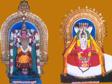 Apatsahayesvarar Temple, Alangudi alangudi Temples of Tamilnadu