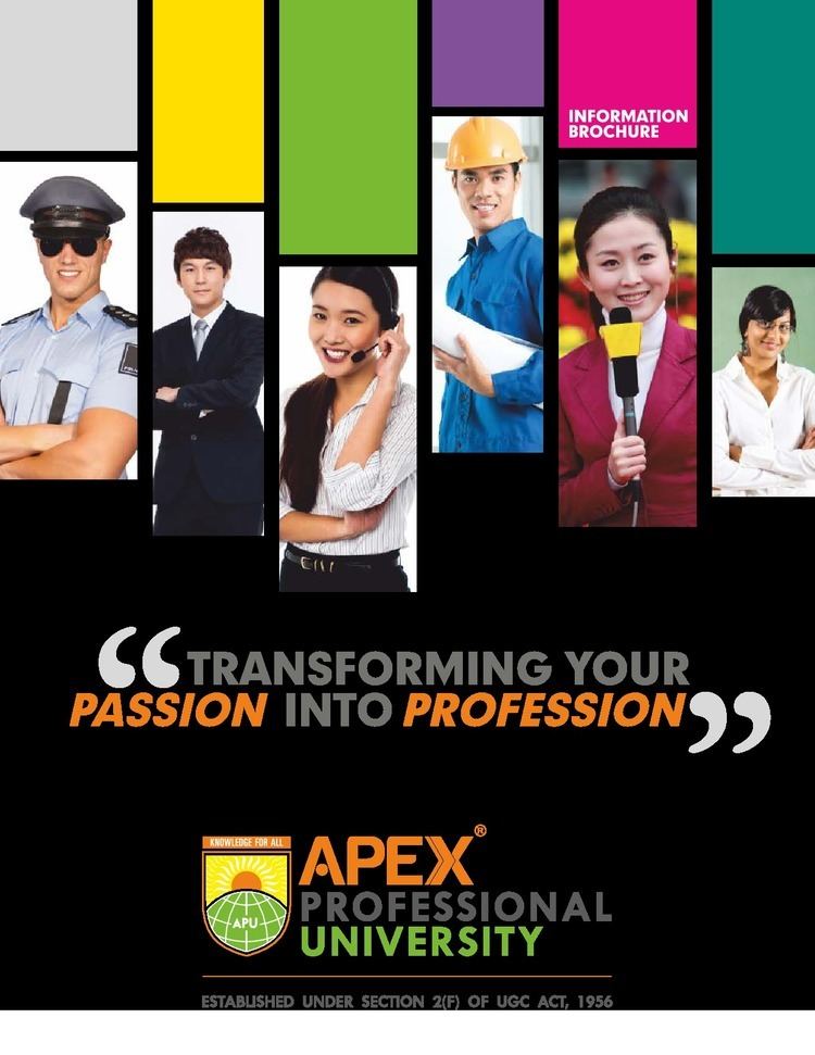 Apex Professional University Apex Professional University APU Pasighat Admissions Contact
