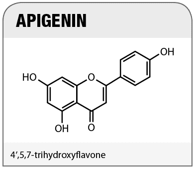 Apigenin APIGENIN 99 by SD Pharmaceuticals at Bodybuildingcom Best Prices