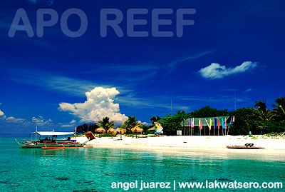 Apo Reef Travel Guide Sablayan Apo ReefPandan Island Lakwatsero