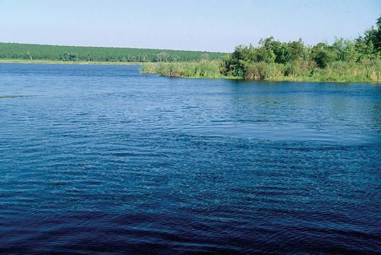 Apopka Spring