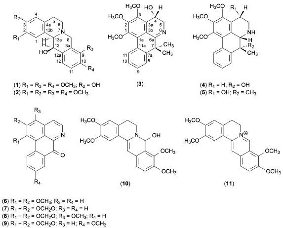 Aporphine Aporphine and tetrahydroprotoberberine alkaloids from the leaves of