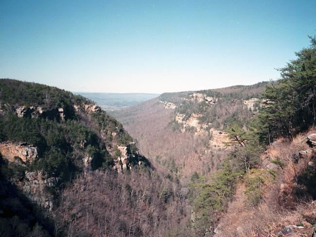 Appalachian Plateau Appalachian Plateau Geologic Province New Georgia Encyclopedia