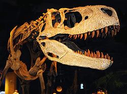 Appalachiosaurus Appalachiosaurus Wikipedia