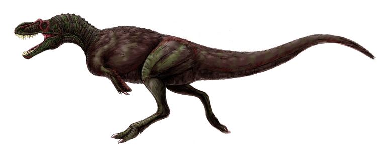 Appalachiosaurus uploadwikimediaorgwikipediacommonsaabAppala