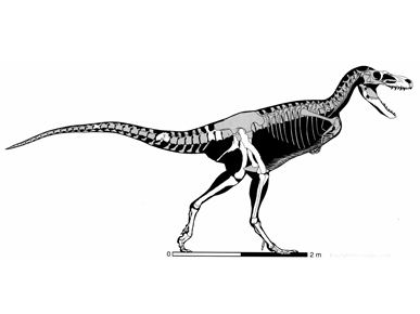 Appalachiosaurus Figure 10 Appalachiosaurus Encyclopedia of Alabama