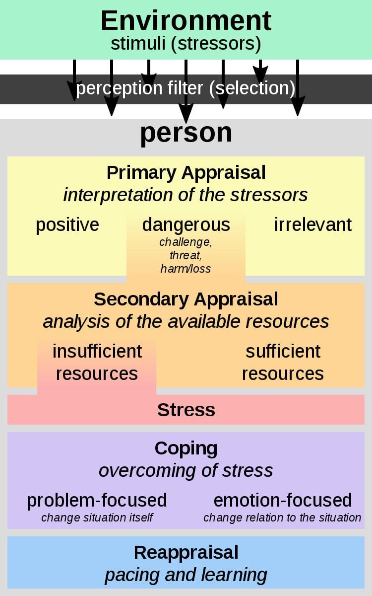 Primary Vs Secondary Appraisal Theory