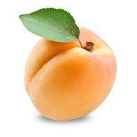 Apricot Apricot PNG images free download