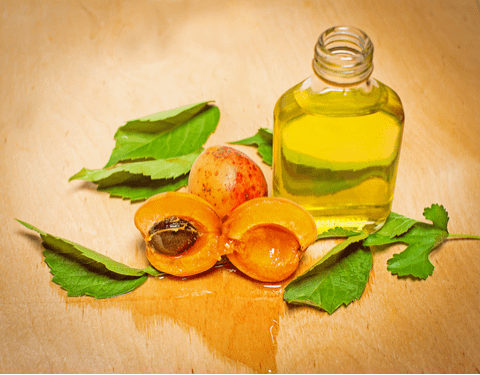 Apricot oil Apricot Kernel Oil Trusted Health Resources