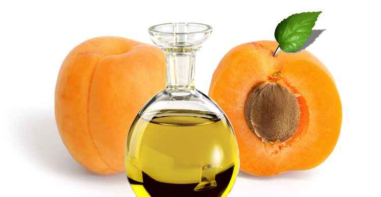 Apricot oil The Health Benefits Of Apricot Seed Oil Health Benefits