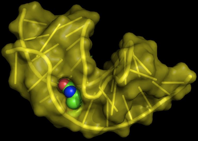 Aptamer