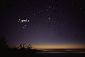 Aquila (constellation) Aquila constellation Wikipedia