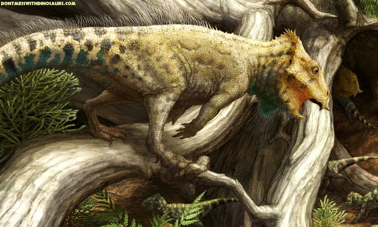 Aquilops BunnySize Dinosaur Was First of Its Kind in America