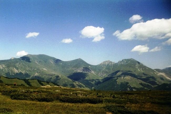 Šar Mountains httpsuploadwikimediaorgwikipediacommonsee