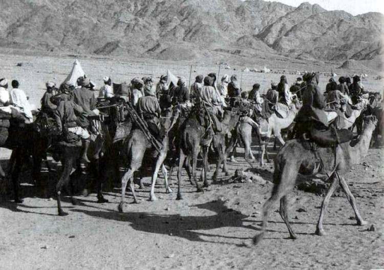 Arab Revolt war and social upheaval World War I Arab Revolt