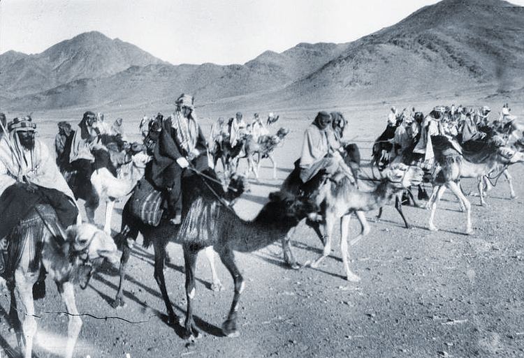 Arab Revolt Roads to the Great War How Important Was the Arab Revolt