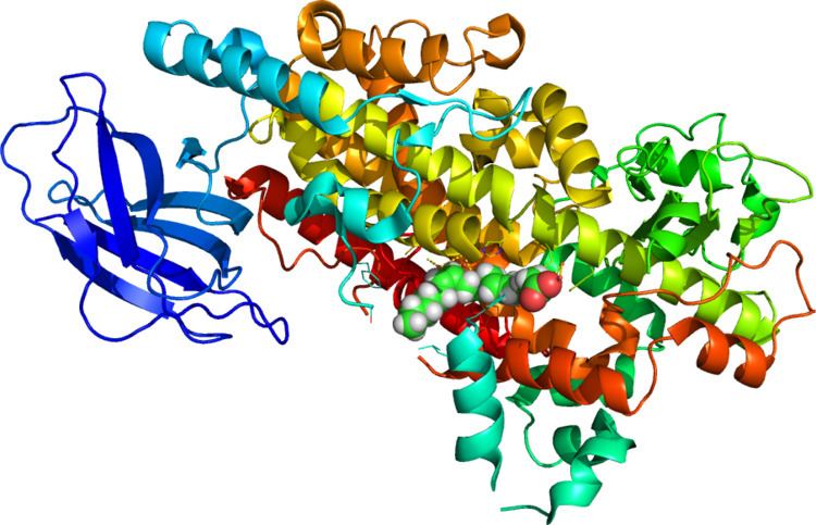 Arachidonate 5-lipoxygenase