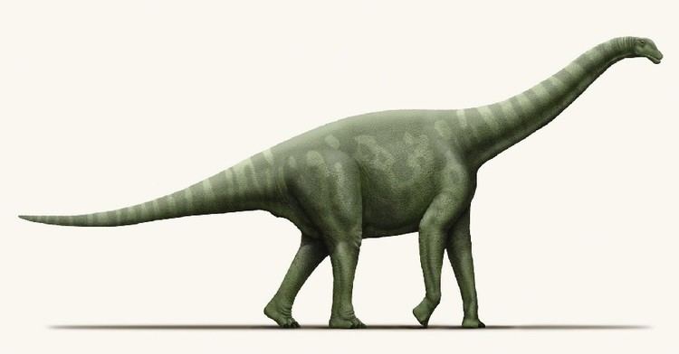 Aragosaurus imagesdinosaurpicturesorgAragosaurusunknowna8