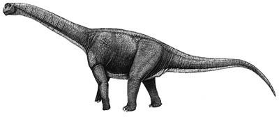 Aragosaurus The Dino Directory Aragosaurus Natural History Museum
