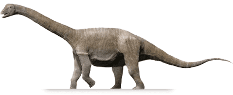 Aragosaurus ARAGOSAURUS DinoChecker dinosaur archive