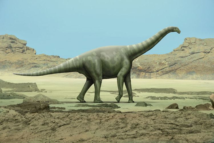 Aragosaurus Aragosaurus ischiaticus