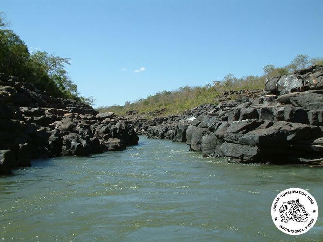 Araguaia River Jaguar Conservation Fund Araguaia River Biodiversity Corridor Project
