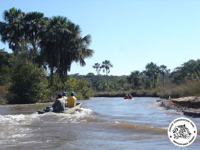 Araguaia River Jaguar Conservation Fund Araguaia River Biodiversity Corridor Project