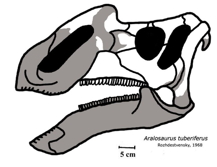 Aralosaurini