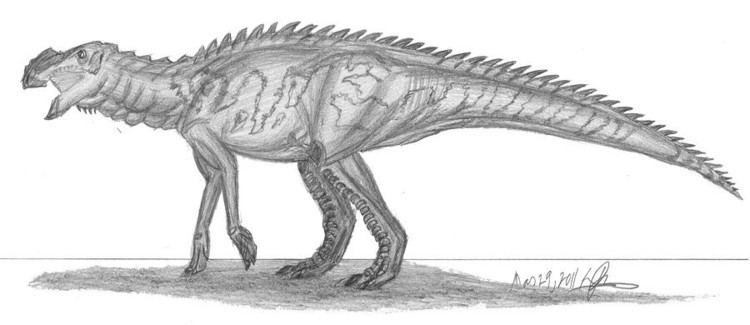 Aralosaurus Aralosaurus Pictures amp Facts The Dinosaur Database