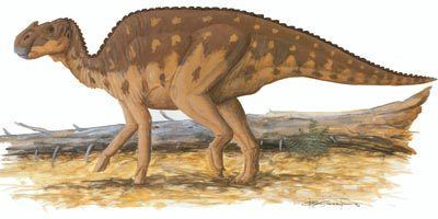 Aralosaurus shswstaticcomgifdinosaurimages079resizejpg