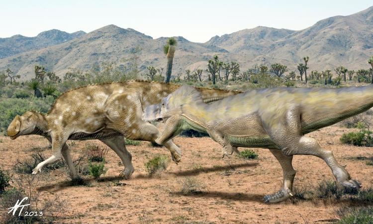 Aralosaurus Aralosaurus tuberiferus Spinops