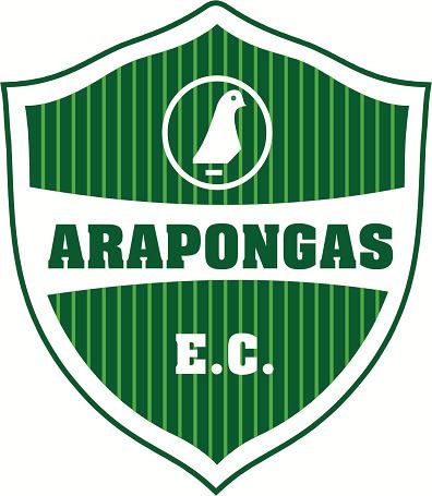 Arapongas Esporte Clube httpsuploadwikimediaorgwikipediaptddeAra