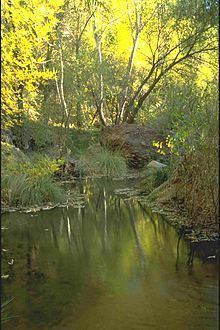 Aravaipa Creek httpsuploadwikimediaorgwikipediacommonsthu