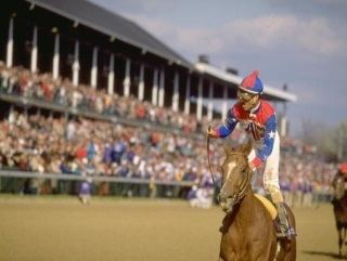 Arazi (horse) Ralph Wilson Jr Breeder of Arazi Dies at 95 Horse Racing News