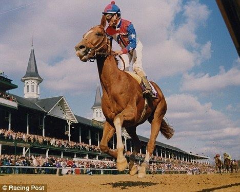 Arazi (horse) Kentucky Derby My 37 Year Love Affair 1992 The Tournament Edge