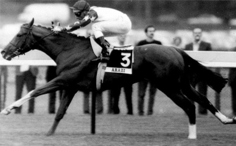Arazi (horse) Breeders39 Cup Most Memorable Moments slide 6 NY Daily News