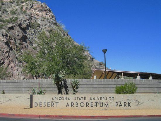Arboretum at Arizona State University httpsmediacdntripadvisorcommediaphotos03