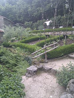 Arboretum du Puy du Fou httpsuploadwikimediaorgwikipediacommonsthu