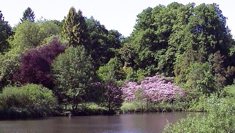 Arboretum Lehmkuhlen