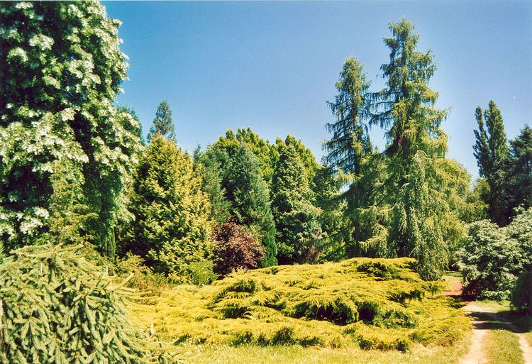 Arboretum national des Barres