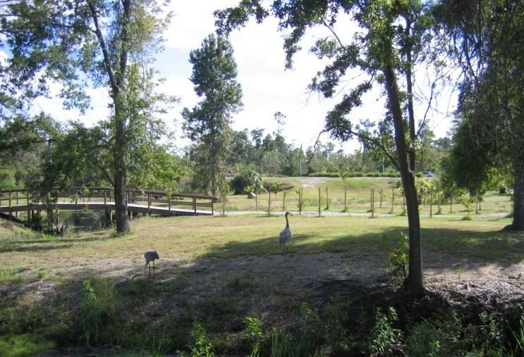 Arboretum of the University of Central Florida