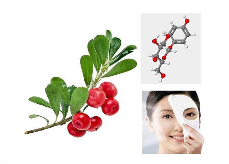 Arbutin Cosmetic Products Contain with Arbutin Health Benefits Risks