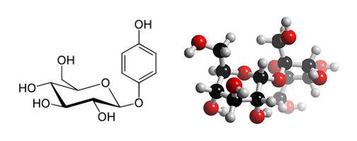 Arbutin Alpha Arbutin