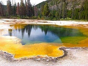 Archaea Archaea Wikipedia