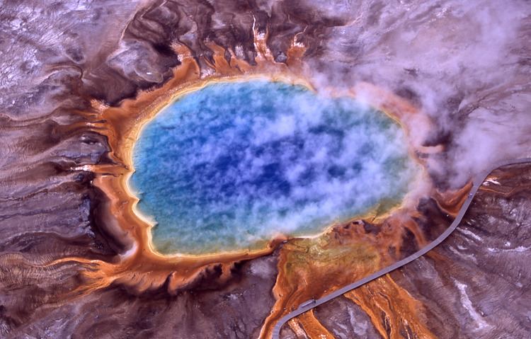 Archaea Archaea Wikipedia