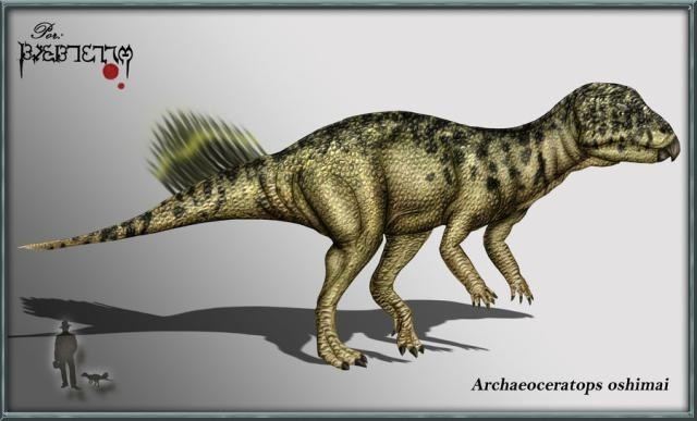 Archaeoceratops Archaeoceratops Pictures amp Facts The Dinosaur Database