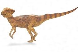 Archaeoceratops FPDM Dinosaur Catalog Archaeoceratops oshimai