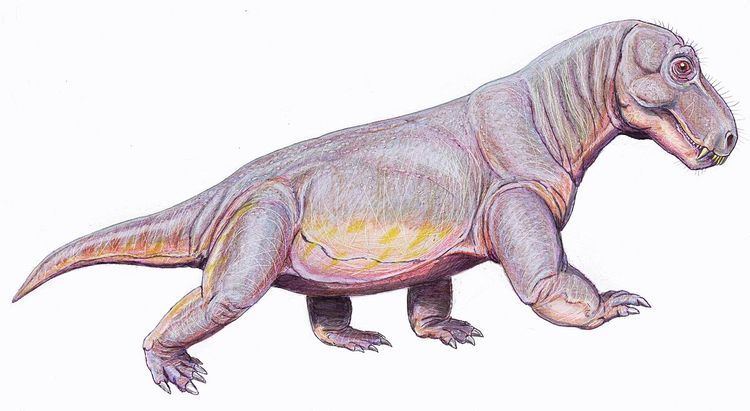 Archaeosuchus