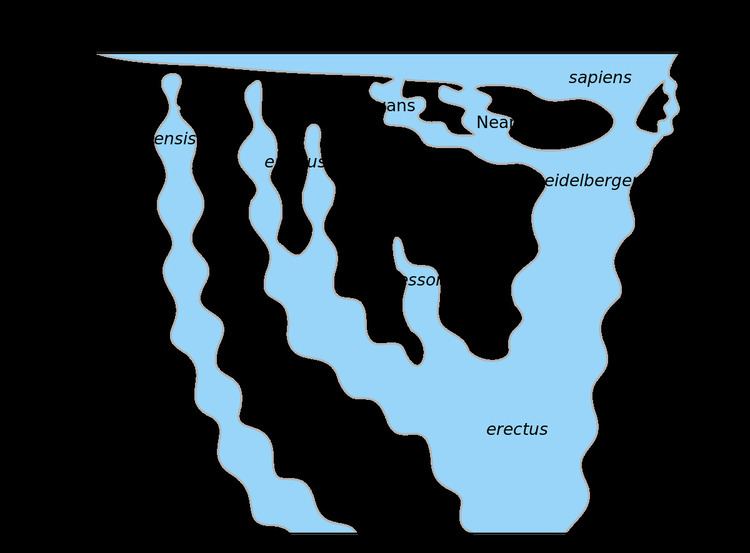 Archaic human admixture with modern humans