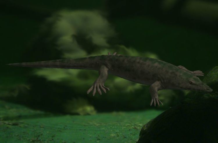 Archegosauridae